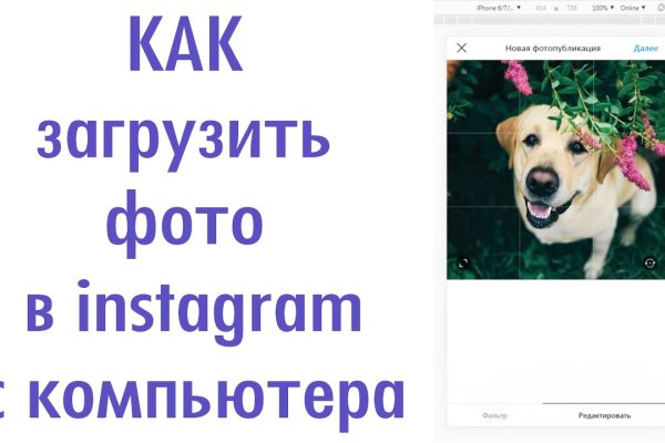 Кракен орг
