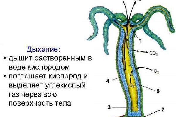 Вход в кракен
