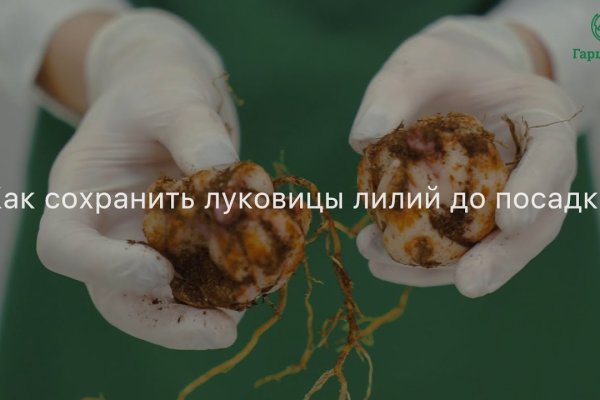 Вход в кракен чтобы купить меф