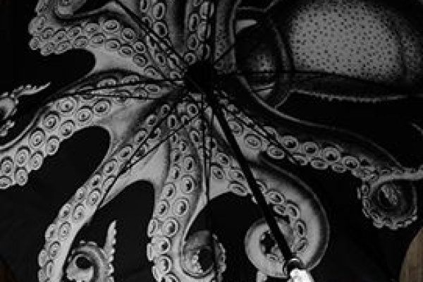 Kraken 26at