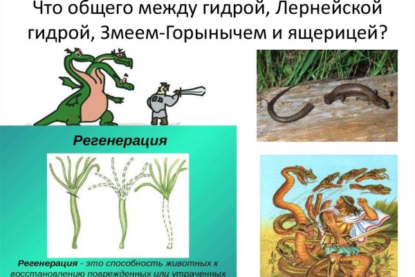 Кракен 12 сайт
