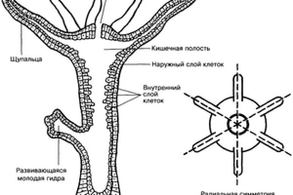 Kra38.cc Вход на сайт главная страница