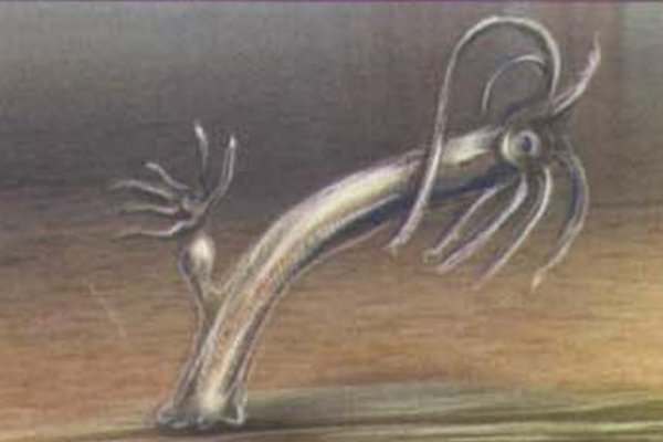 Кракен клирнет ссылка