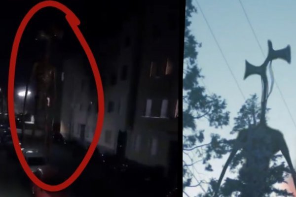 Кракен шоп зеркало