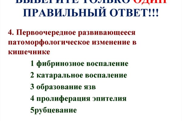 Kraken 24 top