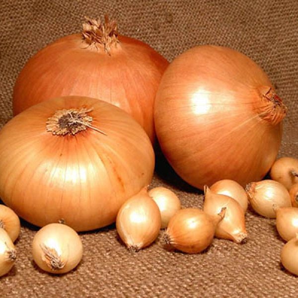 Ссылки для tor